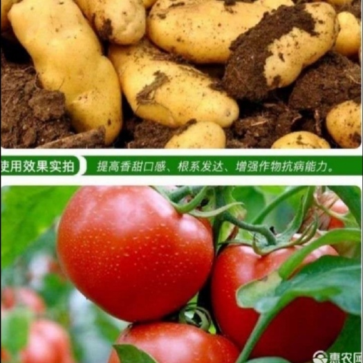 禹州市叶面肥料 阿道麦水溶肥  亚磷酸钾苗期盛花期专用，专注植物优质肥料