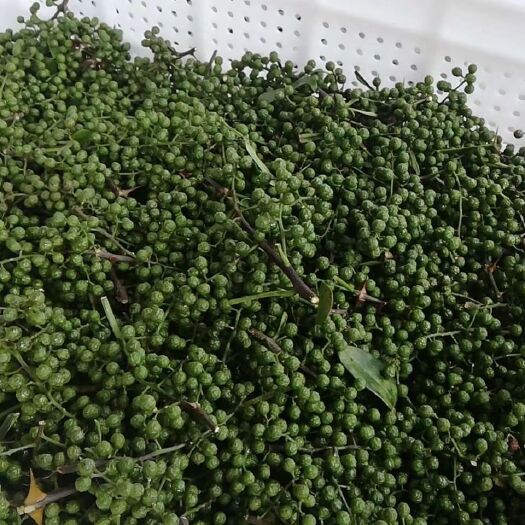 思南县 贵州青花椒量大价优