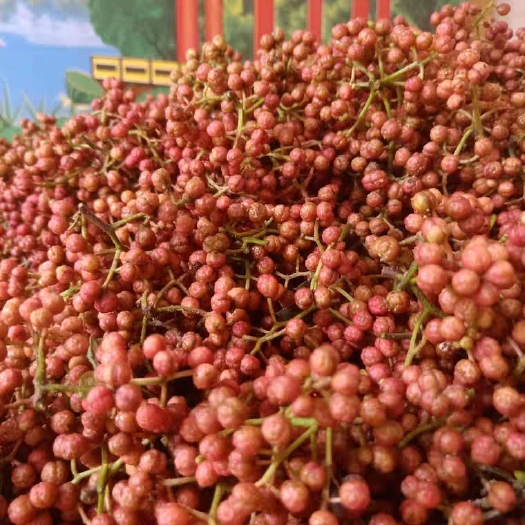 渭南 狮子头大红袍鲜花椒 特级