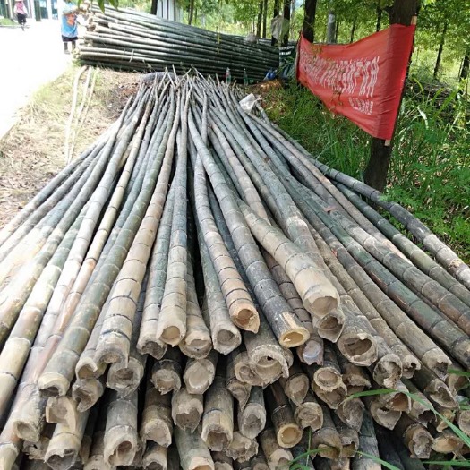 汝城县湘玉竹
