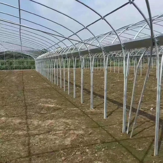 钢管大棚  镀锌大棚管，大棚骨架，镀锌椭圆管，厂家直销，后顾无忧！