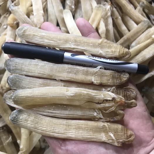 廉江市沙虫干 一级去沙大沙虫
