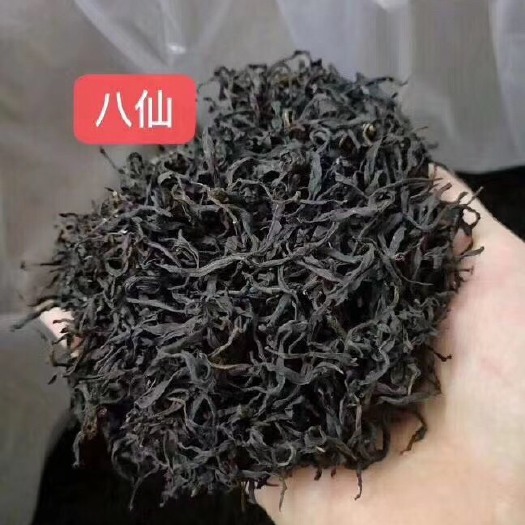 饶平县 潮州凤凰高山单枞茶密兰香鸭屎香大乌叶乌龙茶500g