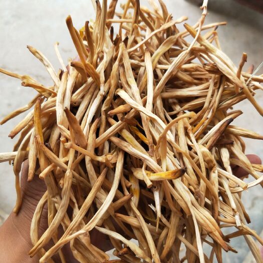 大荔县 直条黄花菜和混菜