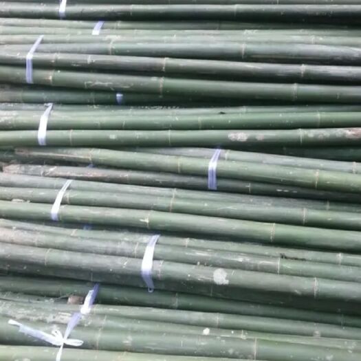 崇义县菜架竹，排山竹，山药竹，豆角竹，各种蔬菜竹