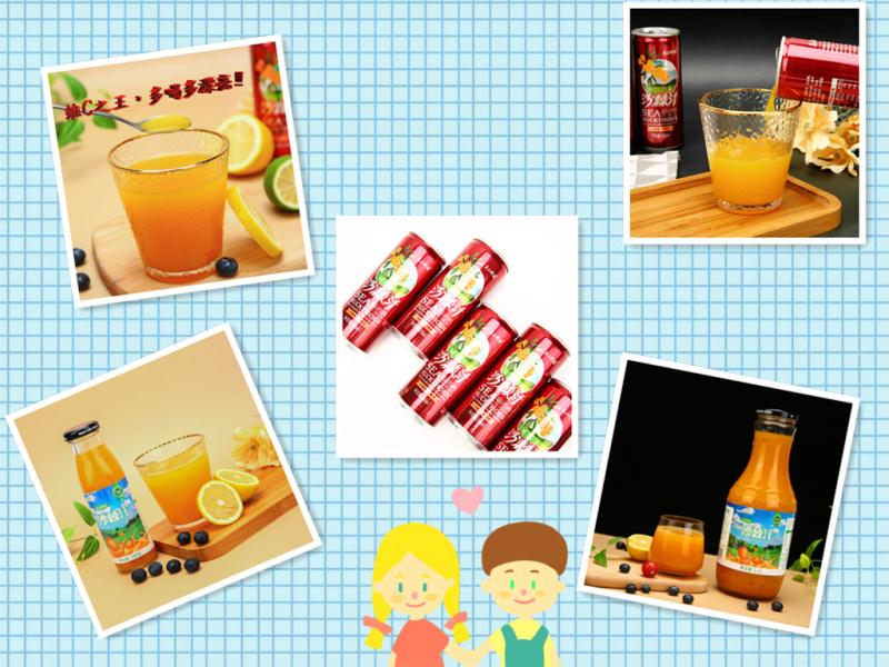 沙棘汁 陕西关山尚品天然，无污染绿色健康饮品  
246ml*8罐