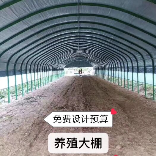 天津大棚管 包塑椭圆管  养殖通用大棚