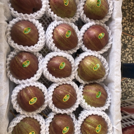 大荔县陕西大荔精品彩虹梨，产地直供，现摘现发