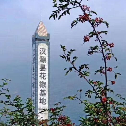 汉源县汉源花椒 汉源贡椒
