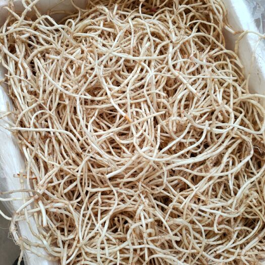 杭州 精品鱼腥草 根白 脆 嫩
