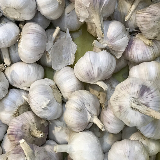 攀枝花 正宗云南大理紫皮大蒜，独蒜