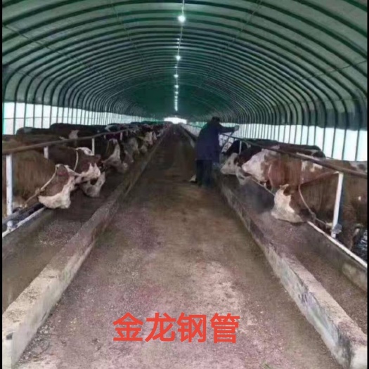 天津 养殖大棚全套鸡舍保温养鸡场大棚骨架钢管鸭猪鹅设备鸡棚搭建户
