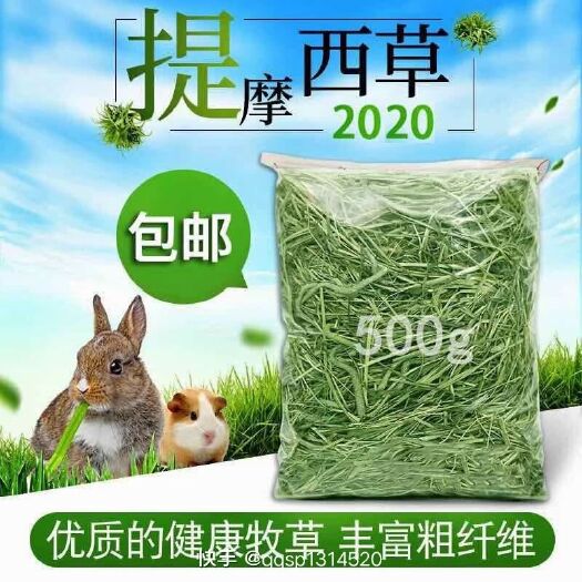 岷县青绿饲料  2020优质提摩西草，荷兰猪，宠物兔，龙猫的饲料牧草