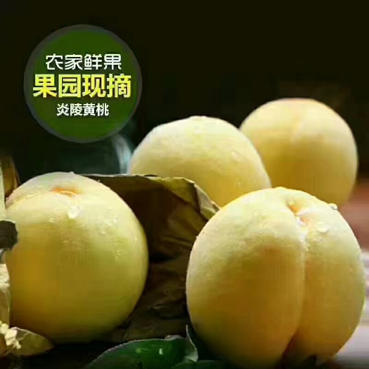 炎陵县10斤装 5斤装锦绣黄桃高档礼品箱 批发