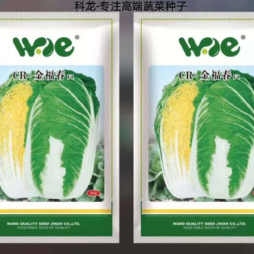 安丘市春秋两季用黄心白菜种子内黄外绿卖相好深受农户及消费者欢迎