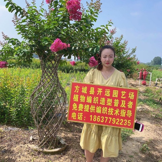 方城县 紫薇花瓶海棠花瓶桂花花瓶骨架模具免费培训编制技术