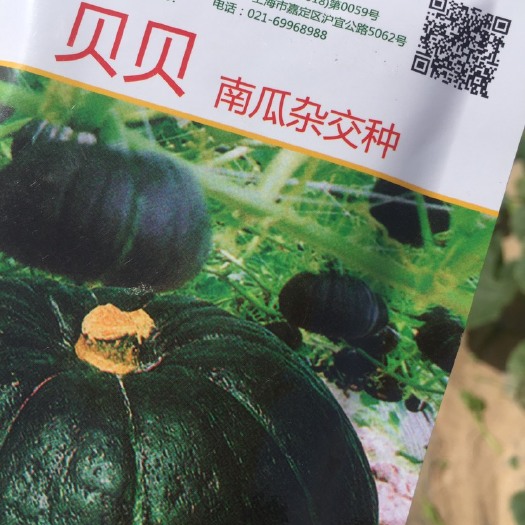 贝贝南瓜 500克左右
