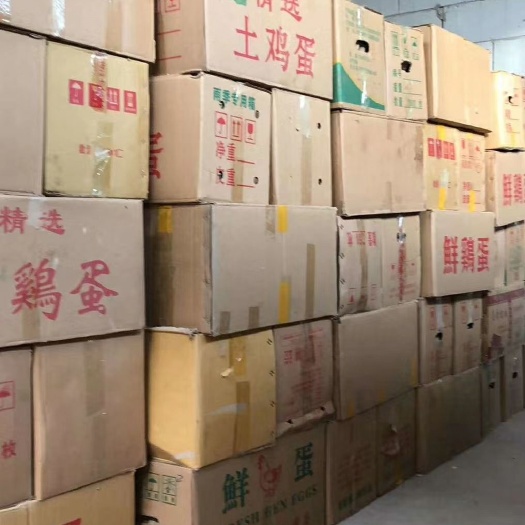 宣城土鸡蛋 长期大量供应粉壳蛋 新鲜 干净
