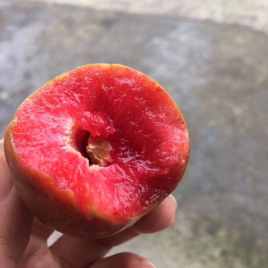诸暨市 嵊州桃形李