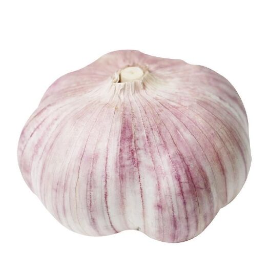 聊城杞县大蒜 新干蒜6cm以上，10斤装