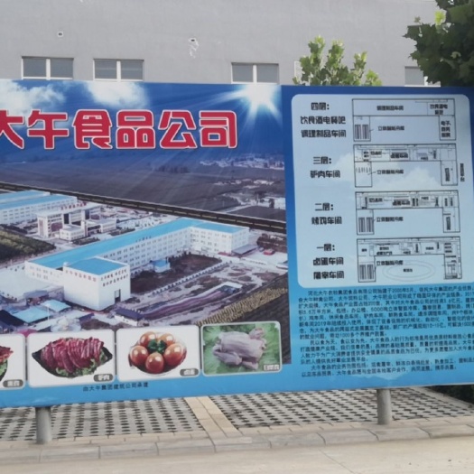 保定白条鸡 厂家供应大午金凤柴公鸡