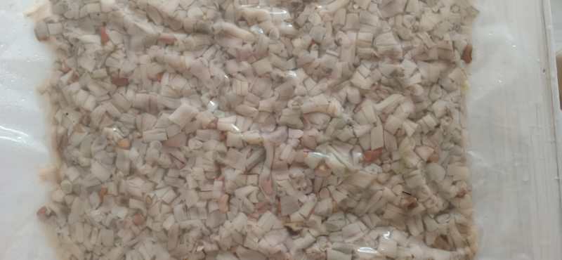 干豆角 白豆角