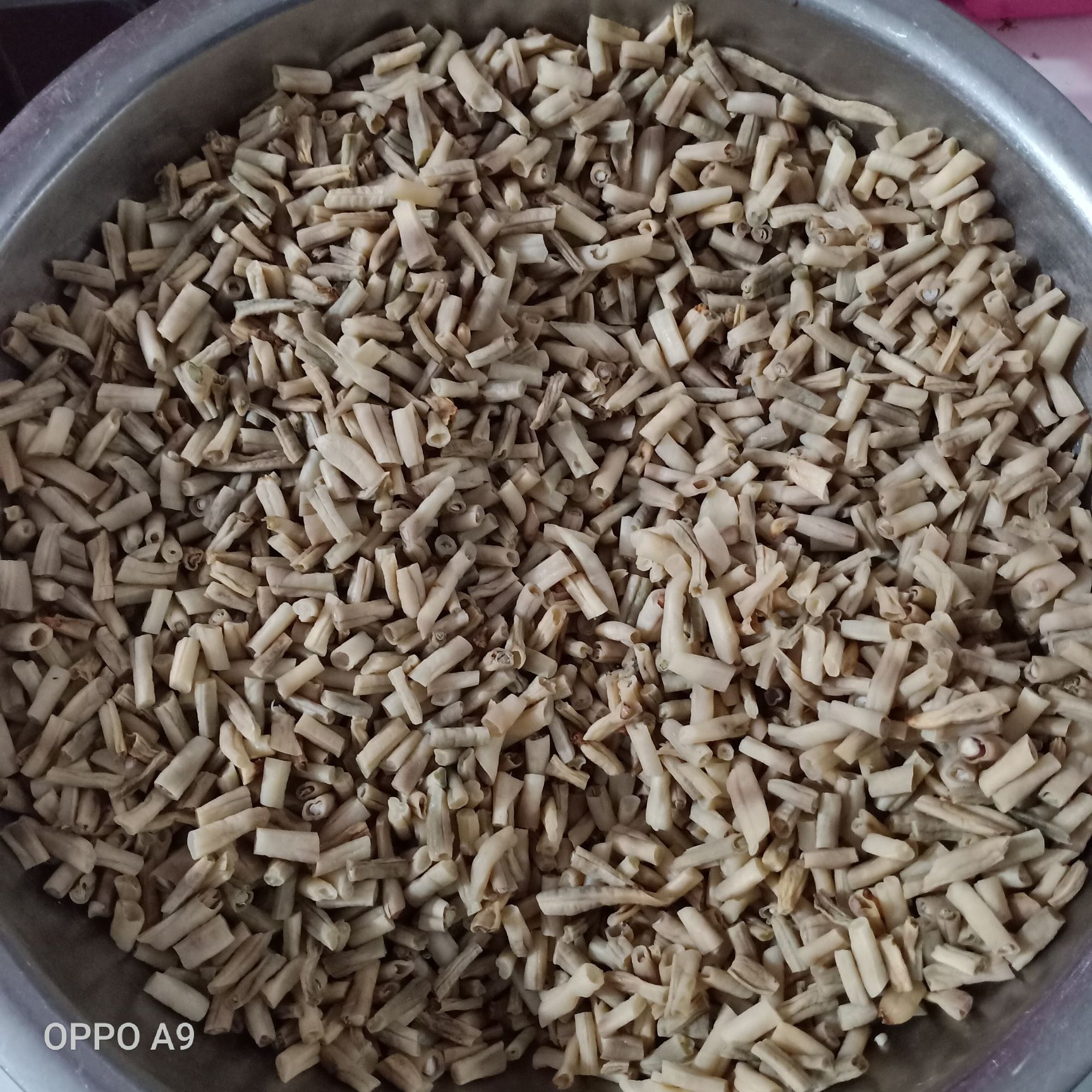 干豆角 白豆角