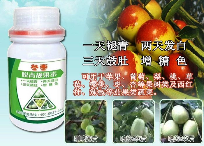 郏县瓜类专用叶面肥  脱青靓果素一天褪青两天发白三天鼓肚增糖色