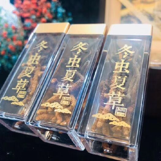 西宁冬虫夏草  青海祁连网红小草100根根根精选送礼大气