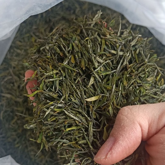 固始县高山野生茶 河南固始武庙当地茶