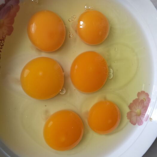 长兴县土鸡蛋 食用 散装