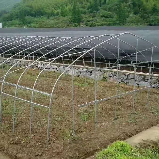 天津 蔬菜大棚