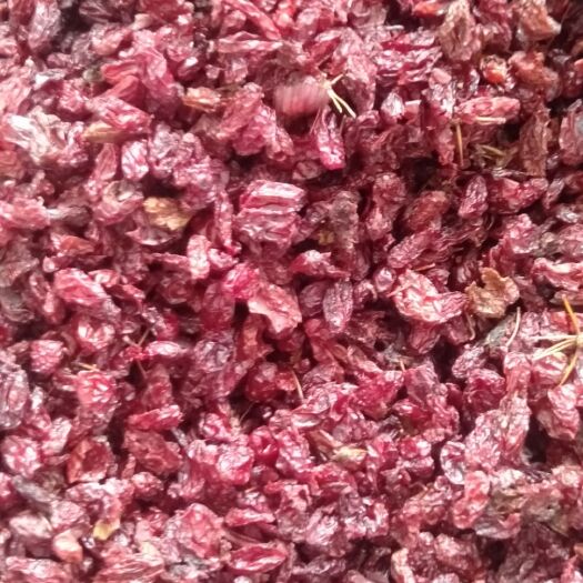 康县中药材山茱萸 山萸肉