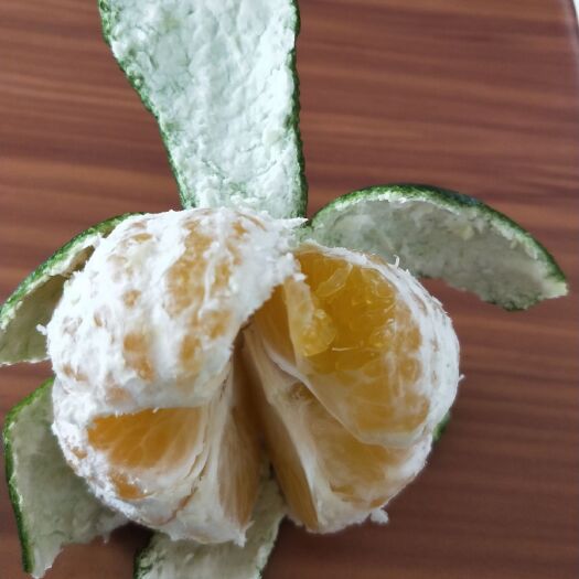 江永县特早蜜桔 湖南永州江永回龙圩特早上市
