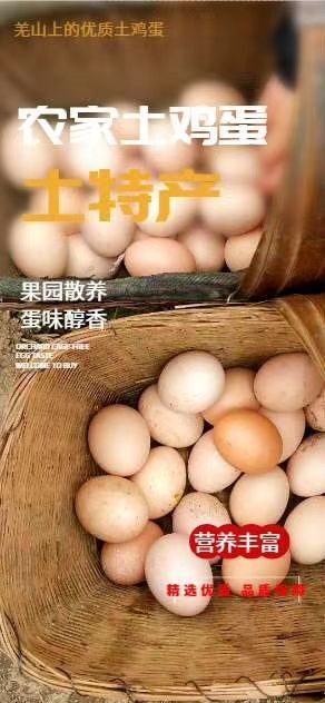 资阳 精准扶贫•爱心商店
正宗羌族当地绿色的土鸡蛋，假一赔十