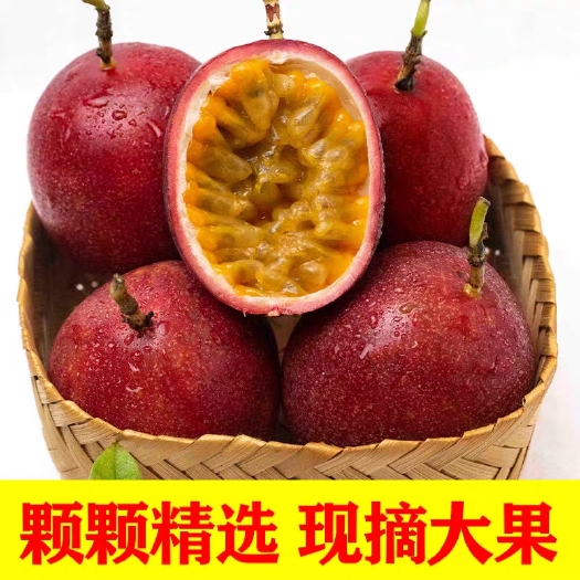 灵山县台农一号百香果  广西灵山百香果台农批发现摘现发新鲜水果一件