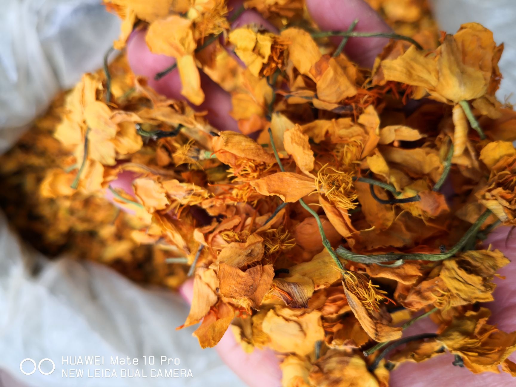 金莲花干花  金莲花 新干货 泡水级别 选货