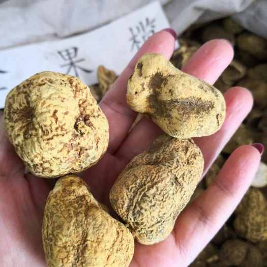 金果榄    个子   切片 中药材   都有现货