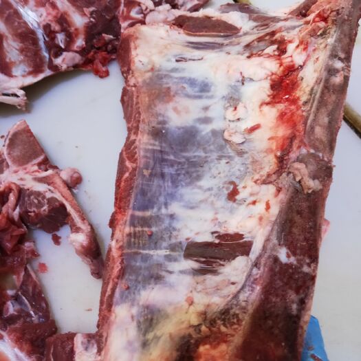 阳信县国产多肉黄牛脊骨切块
