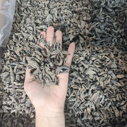 广州黑山木耳  特级靓货！！特级！1.2秋耳 云耳 木耳