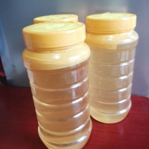 敦化市 东北纯椴树蜜