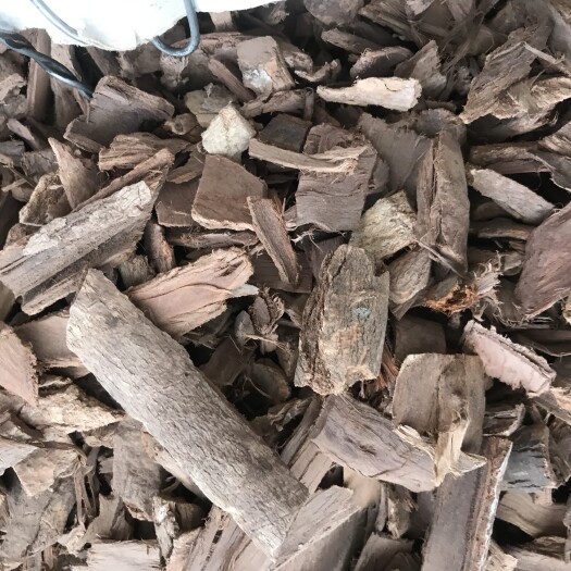 玉林土槿皮
