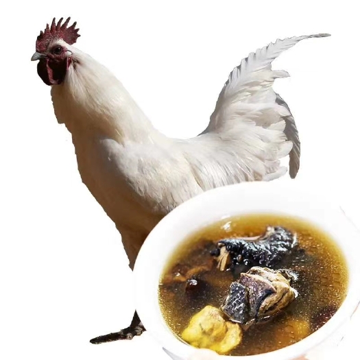 桐庐县土鸡 绿色生态养殖，一年才出售。