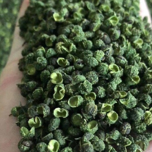 成都 汉源青花椒现货供应  跑江湖地摊厂家直销