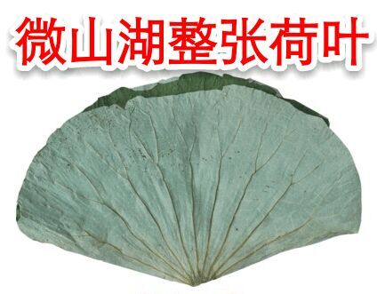 滕州市微山湖干荷叶，长期供应！合作愉快！