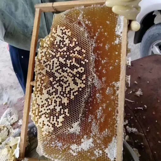 中山市百花蜜  正宗农家蜂蜜