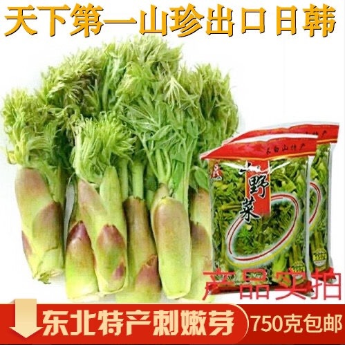 桦甸市 刺老芽刺嫩芽东北山野菜山菜天然特产保鲜袋装长白山吉林