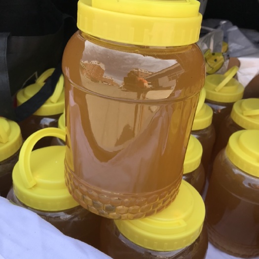 敦化市 长白山天然椴树蜜