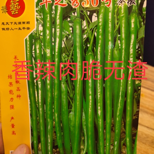 扶沟县华之秀36号条辣椒种子~中早熟长条亮绿皮抗病性强结果多