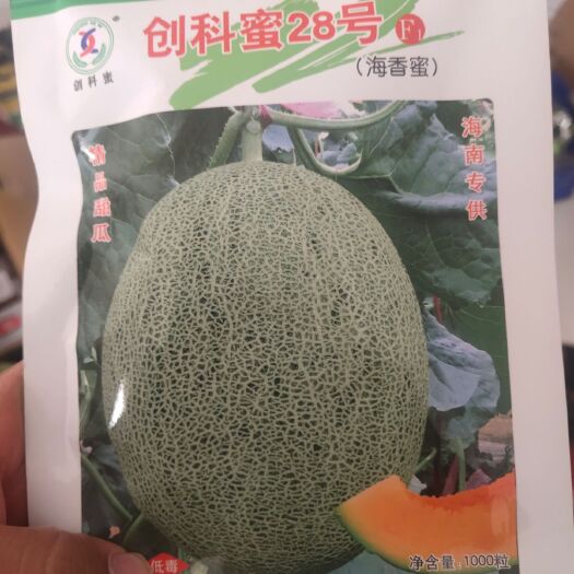 青花蜜种子 青花蜜久创蜜28哈蜜瓜种子~抗裂性强抗病，麻绿皮